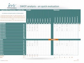 SWOT analysis - quick evaluation