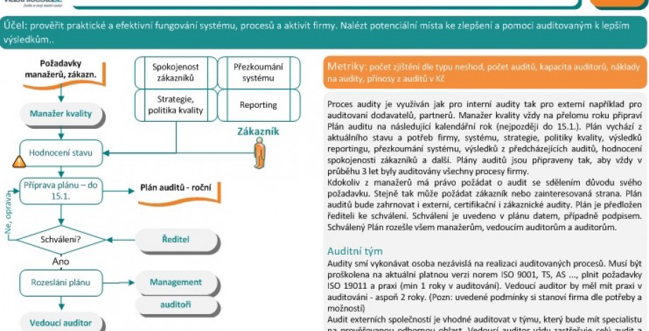 Process model - audit (specimen)