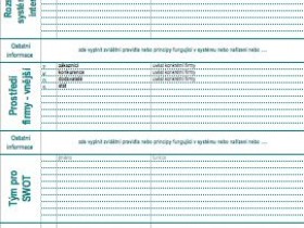 SWOT analysis and strategy in practical steps - assignment