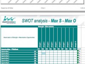 SWOT analysis and MAX-MAX strategy in practical steps