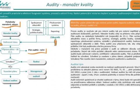 Process model - audit (specimen)