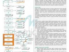 Process of audit